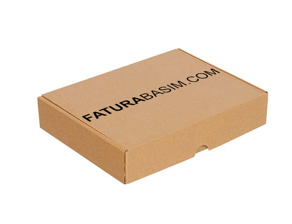 Baskılı Kilitli E-Ticaret Kargo Kutusu